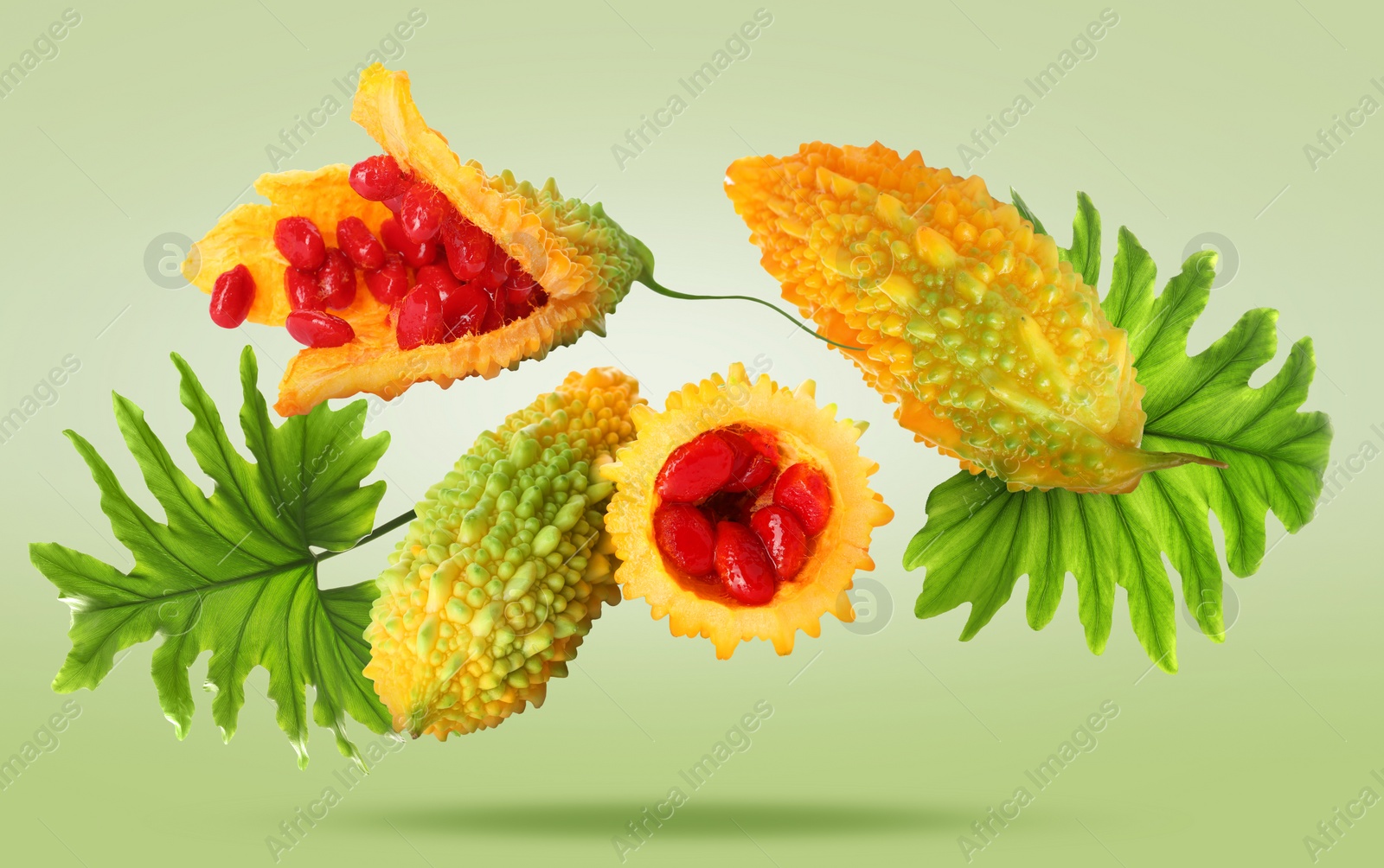 Image of Delicious ripe bitter melons and leaves falling on pale light green background