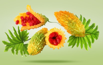 Image of Delicious ripe bitter melons and leaves falling on pale light green background