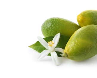 Ripe citrus fruits and flower on white background