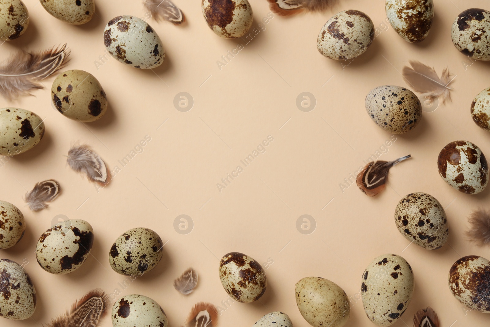 Photo of Frame made of speckled quail eggs and bird feathers on beige background, flat lay. Space for text