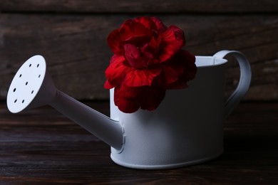 Beautiful red flower in watering can on wooden table