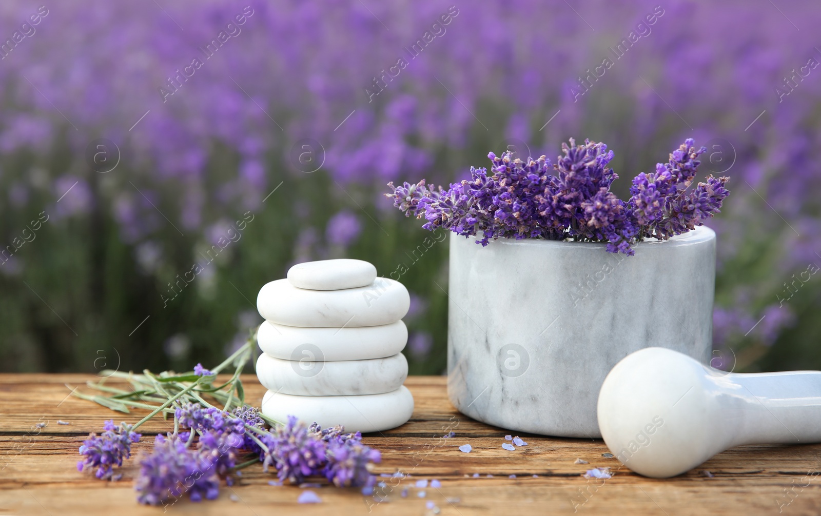 Photo of Spa stones, fresh lavender flowers and white marble mortar on wooden table outdoors, closeup