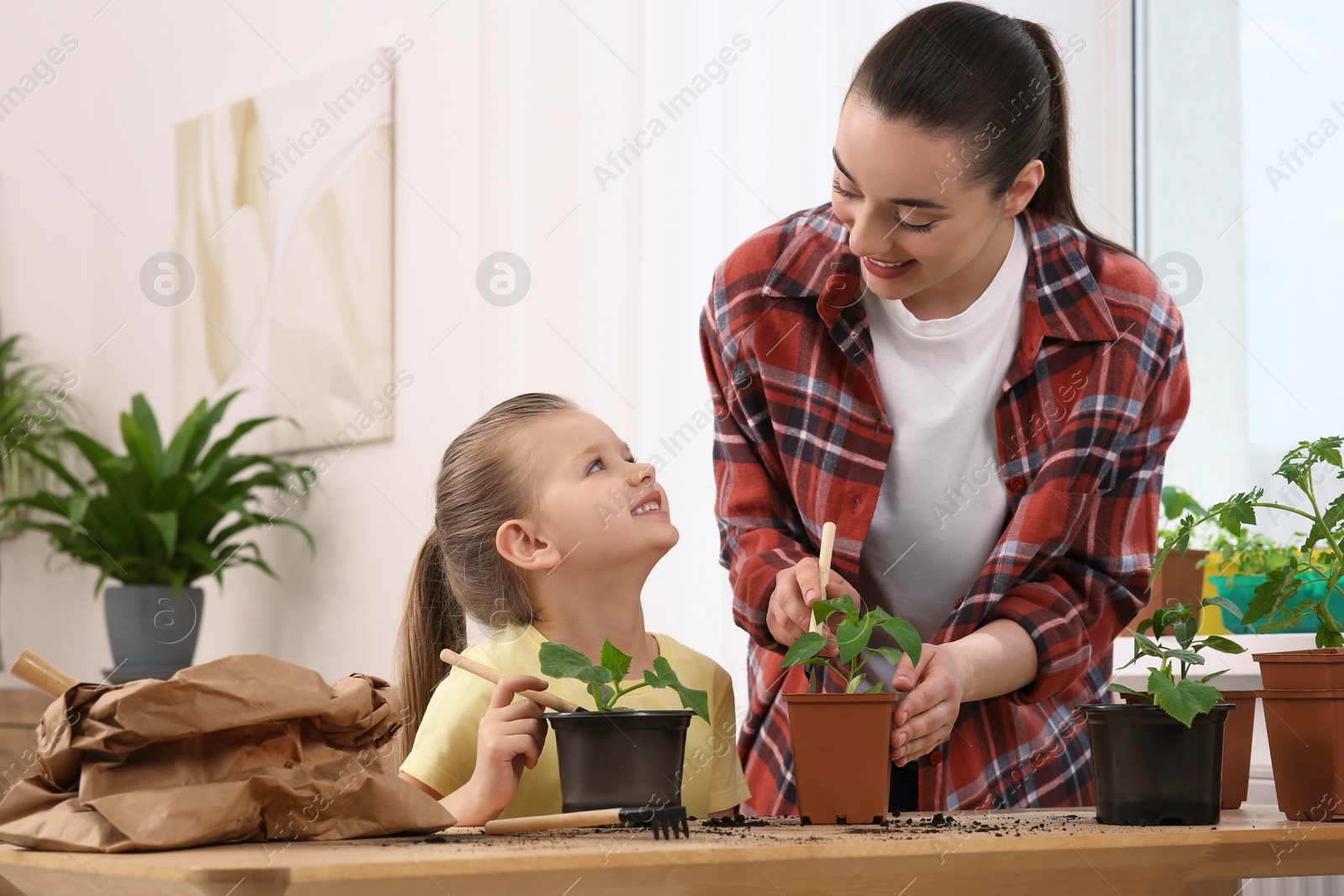 Photo of Mother and daughter planting seedlings into pots together at wooden table in room