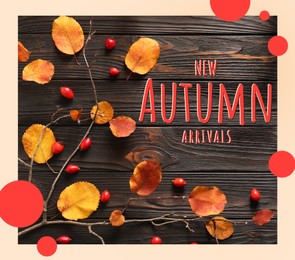 Image of New autumn arrivals flyer design. Tree branch with yellowed leaves, berries and text on wooden background, flat lay