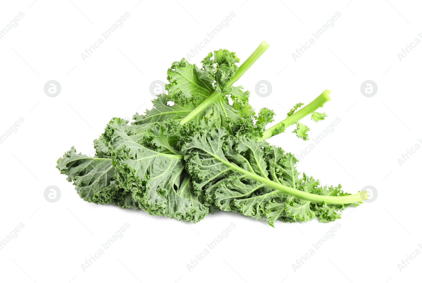 Photo of Fresh green kale leaves isolated on white