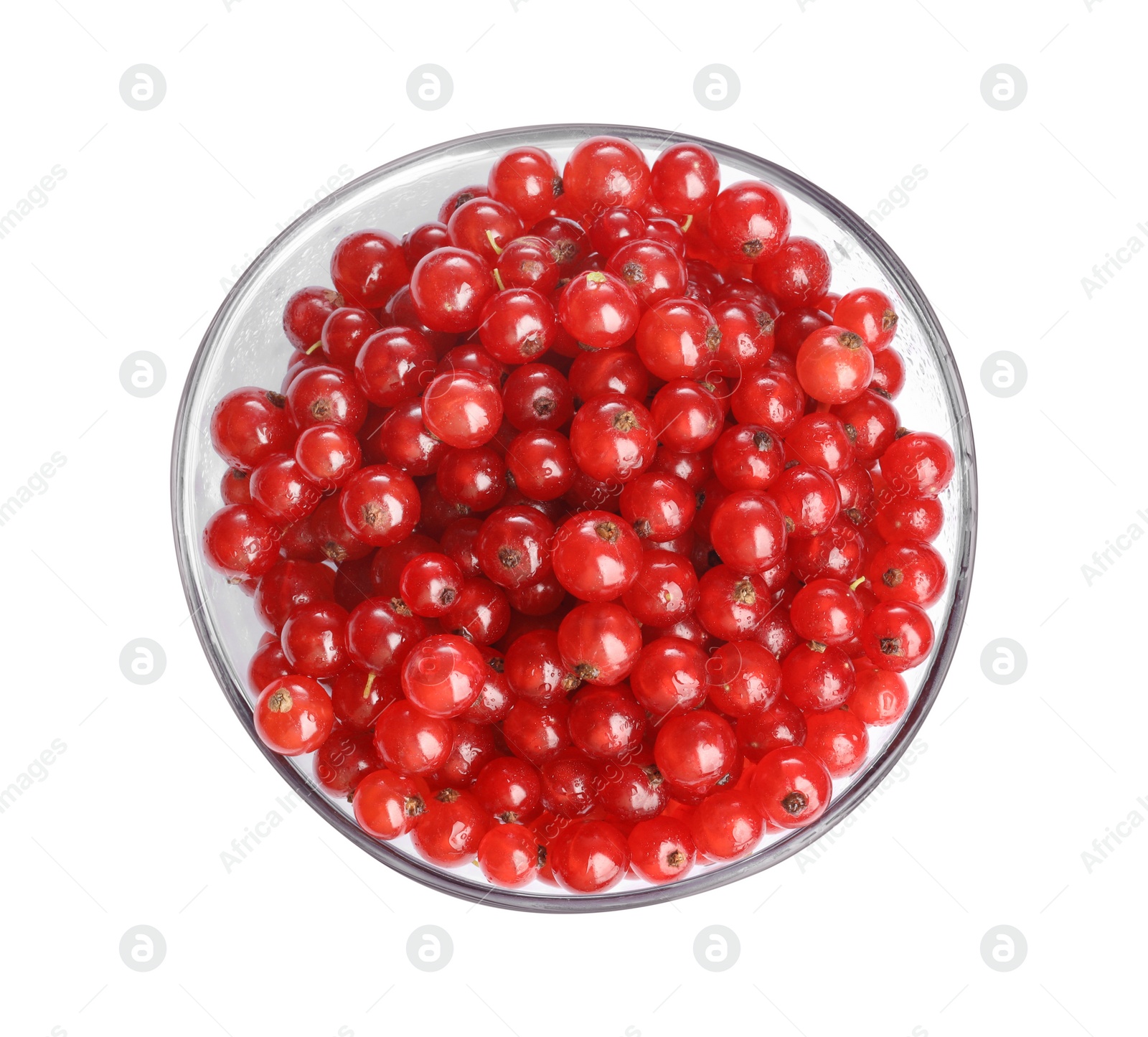 Photo of Wet ripe red currants in glass bowl isolated on white, top view