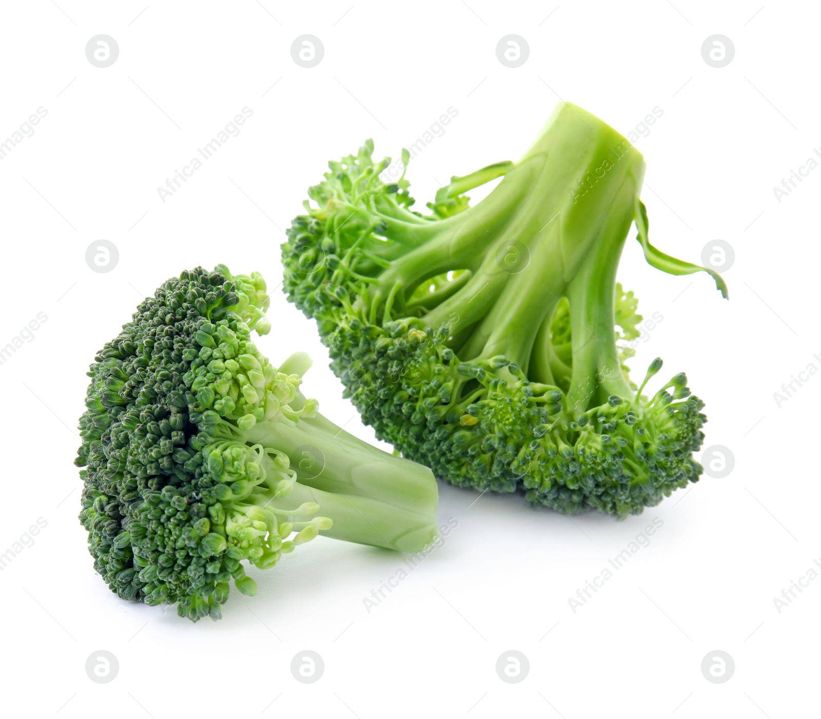 Photo of Fresh broccoli isolated on white. Edible green plant