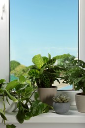 Photo of Different beautiful potted houseplants on window sill indoors