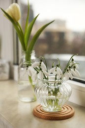 Spring is coming. Beautiful snowdrops and tulip on windowsill indoors