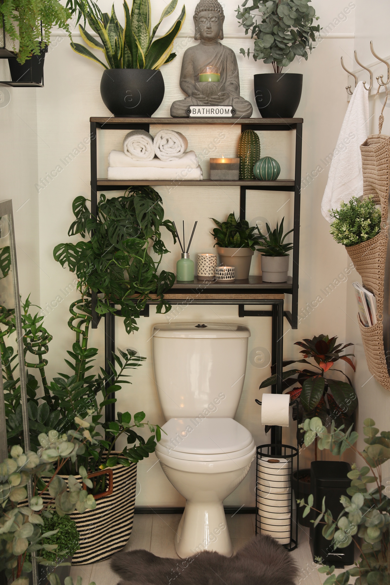 Photo of Stylish restroom interior with toilet bowl and green houseplants