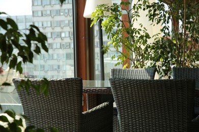 Photo of Observation area cafe. Table, chairs and green plants on terrace