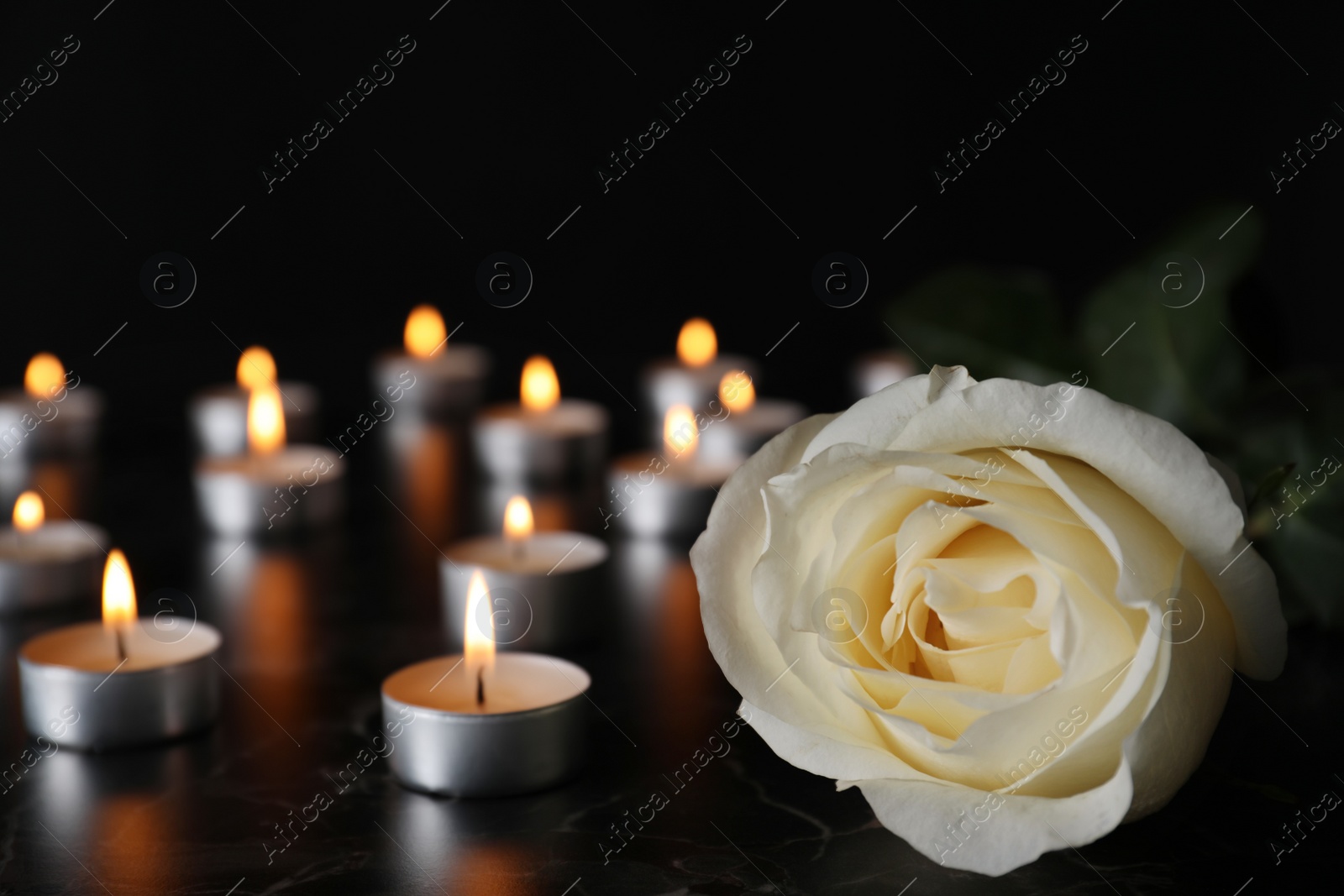 Photo of White rose and blurred burning candles on table in darkness, closeup with space for text. Funeral symbol