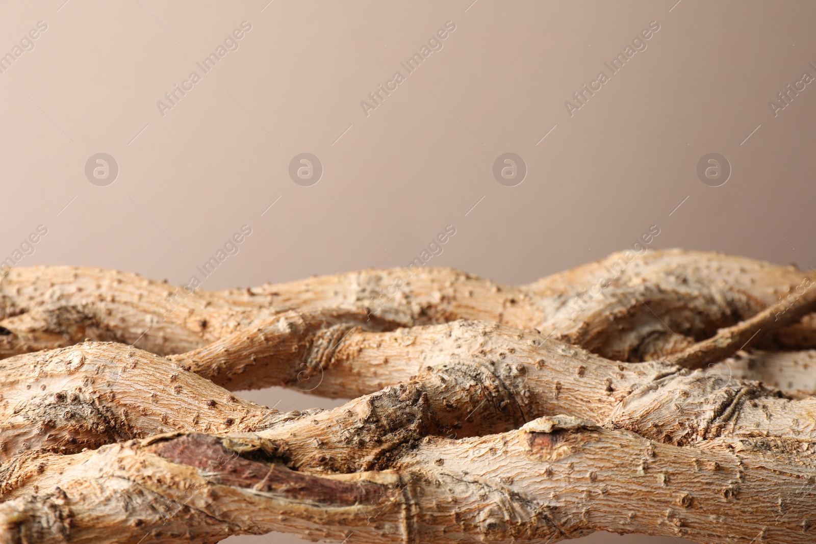 Photo of Presentation for product. Braided tree trunk on beige background. Space for text