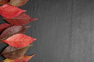 Photo of Flat lay composition with autumn leaves on dark grey stone background. Space for text