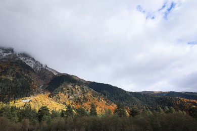 Picturesque view of mountain landscape with forest under cloudy sky