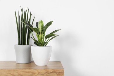 Photo of Different houseplants in pots on wooden table near white wall, space for text