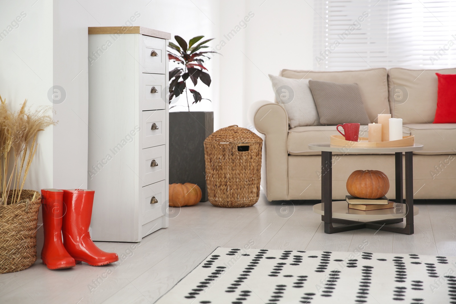 Photo of Cozy living room interior inspired by autumn colors