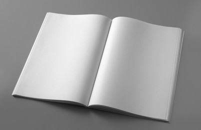 Photo of Open blank brochure on light grey background