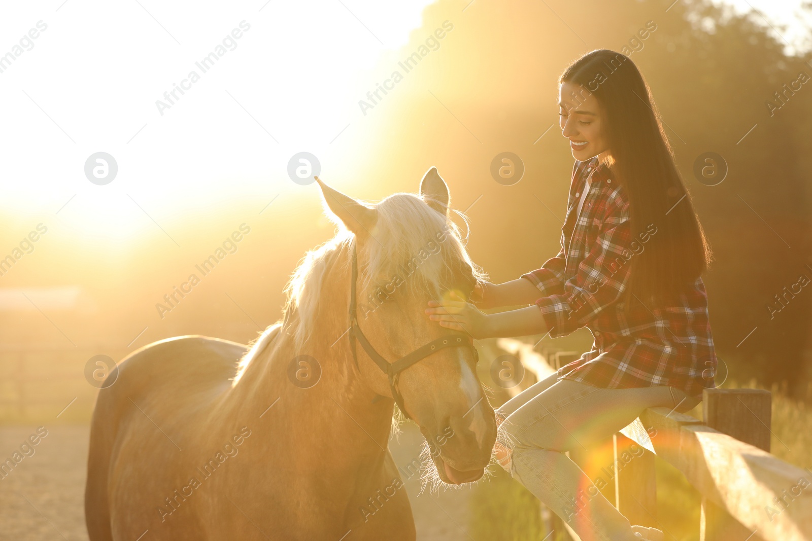 Photo of Beautiful woman with adorable horse outdoors on sunny day. Lovely domesticated pet