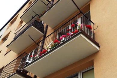 Photo of Balcony decorated with beautiful colorful flowers, low angle view