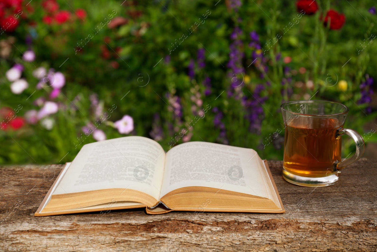 Photo of Open book with glass cup of tea on wooden table in garden