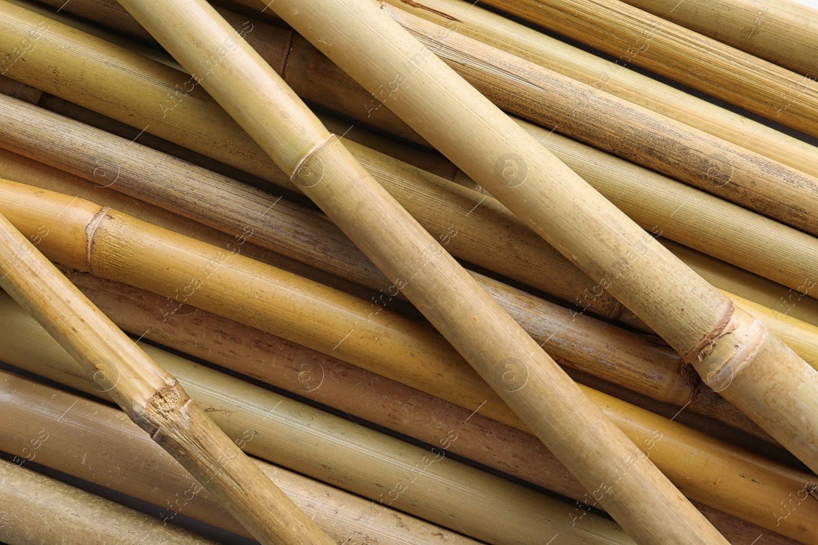 Photo of Dry bamboo sticks as background, top view