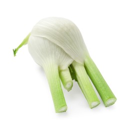 Photo of Fresh raw fennel bulb isolated on white