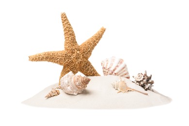 Photo of Beautiful sea star and seashells in sand on white background