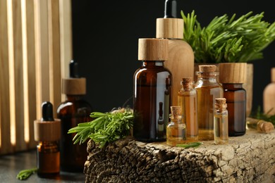 Photo of Essential oils in bottles, rosemary and wood on table against black background, closeup