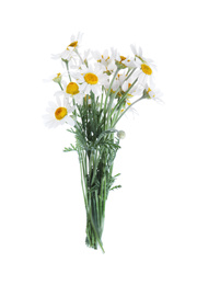 Photo of Beautiful fresh chamomile bouquet isolated on white