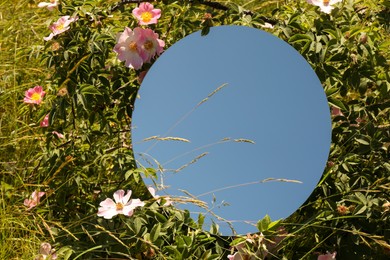 Spring atmosphere. Round mirror among grass and flowers on sunny day