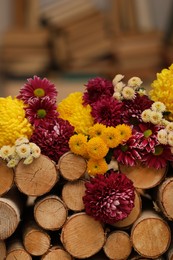 Photo of Beautiful bright chrysanthemum flowers on stacked firewood