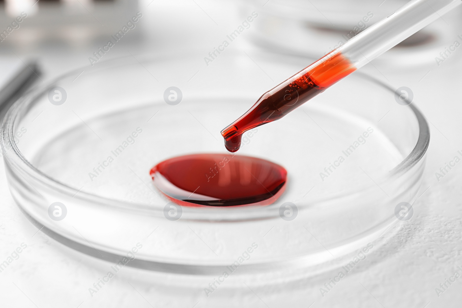 Image of Dripping blood from pipette into Petri dish on table, closeup. Laboratory analysis