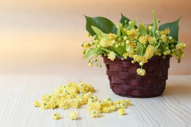 Beautiful linden blossoms and green leaves on white wooden table, space for text