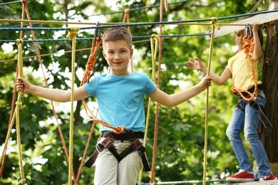 Little boy climbing in adventure park. Summer camp