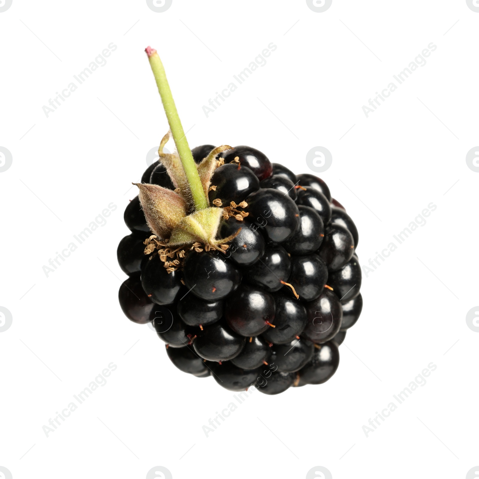 Photo of One tasty ripe blackberry isolated on white