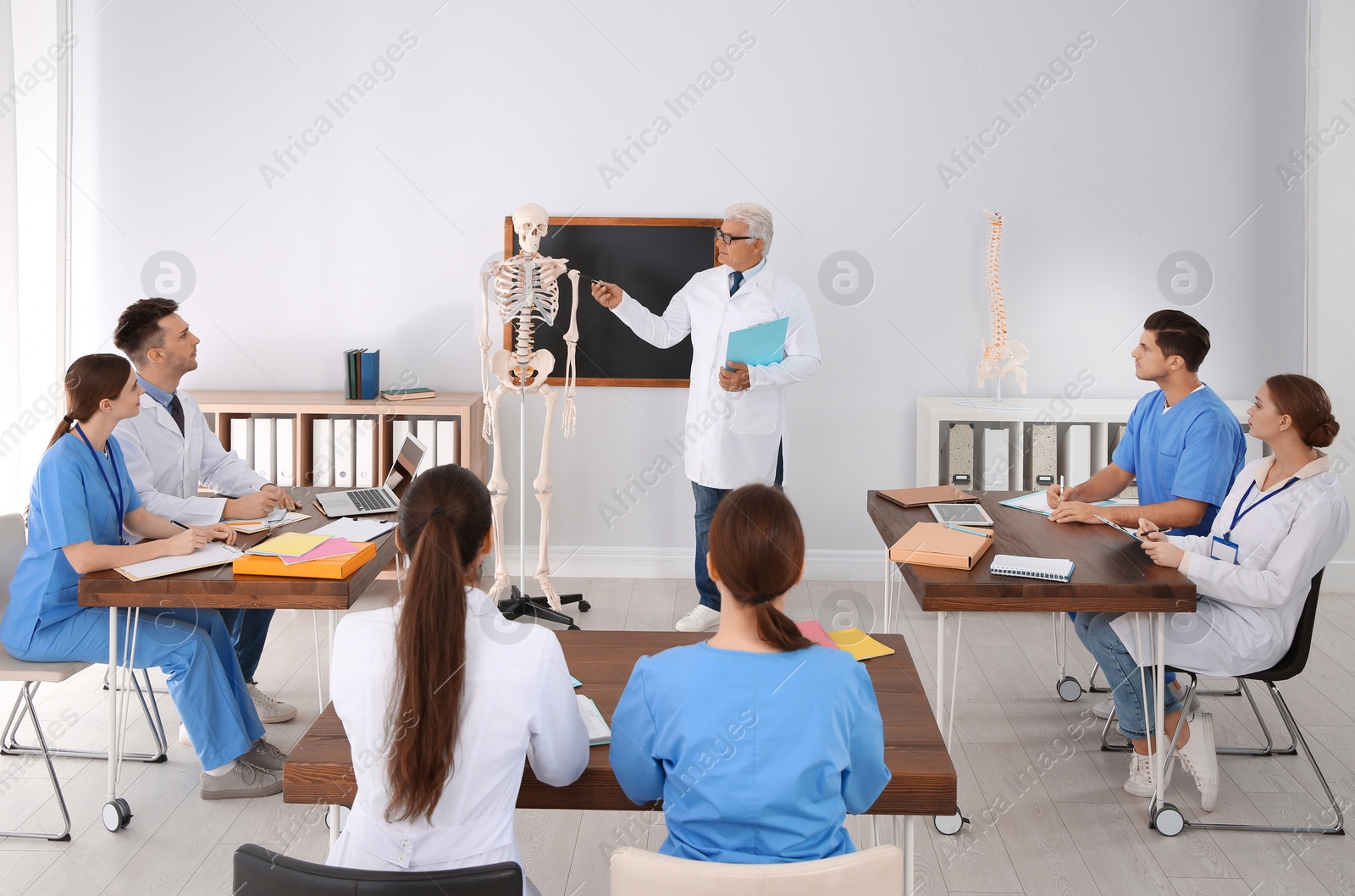 Photo of Medical students and professor studying human skeleton anatomy in classroom