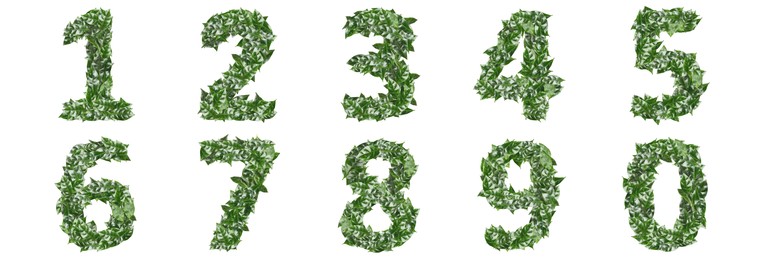 Image of Numbers made of fresh green leaves on white background. Banner design