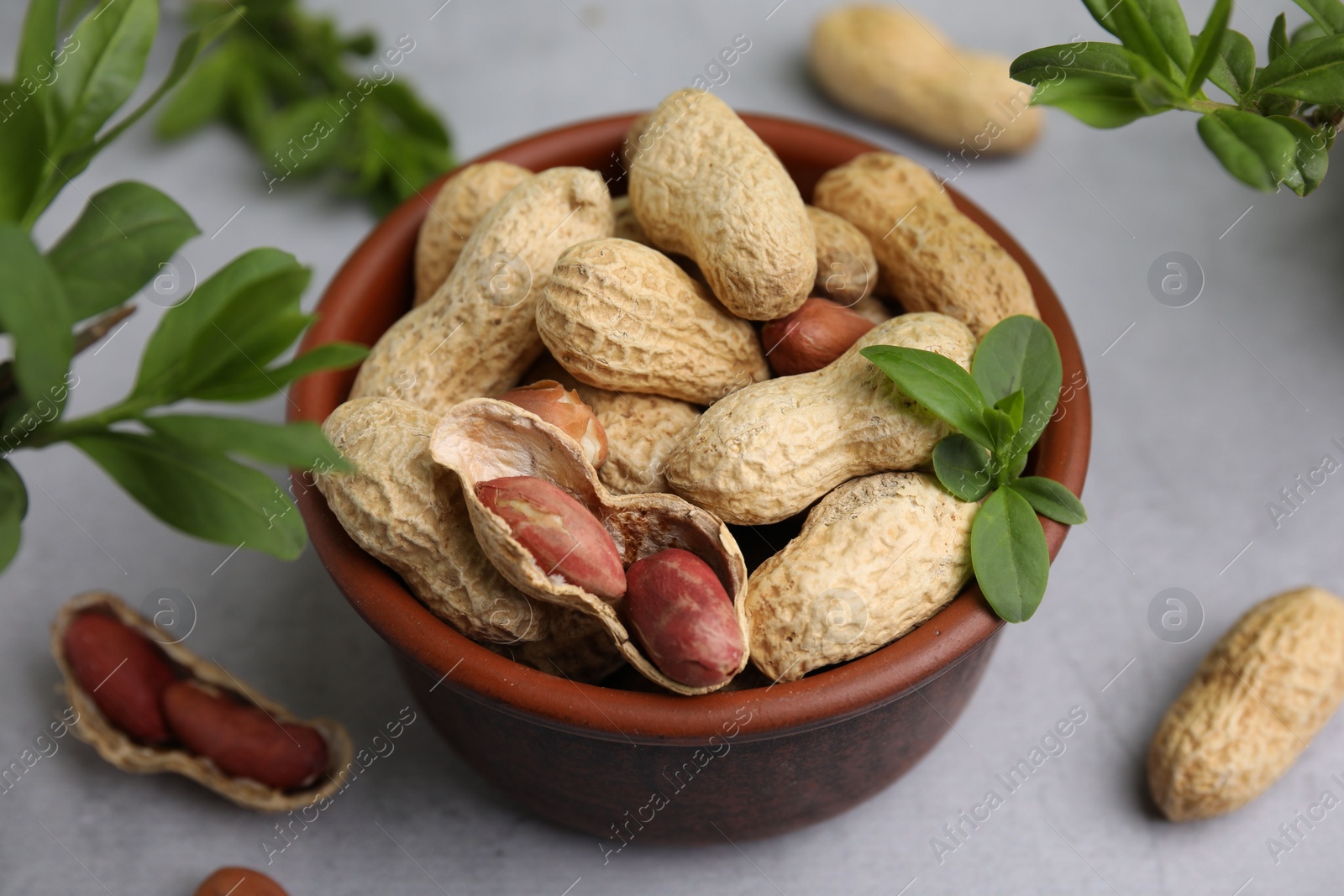 Photo of Fresh unpeeled peanuts in bowl and green leaves on grey table, closeup