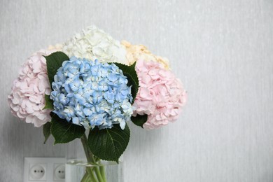 Beautiful hydrangea flowers near light gray wall, closeup. Space for text