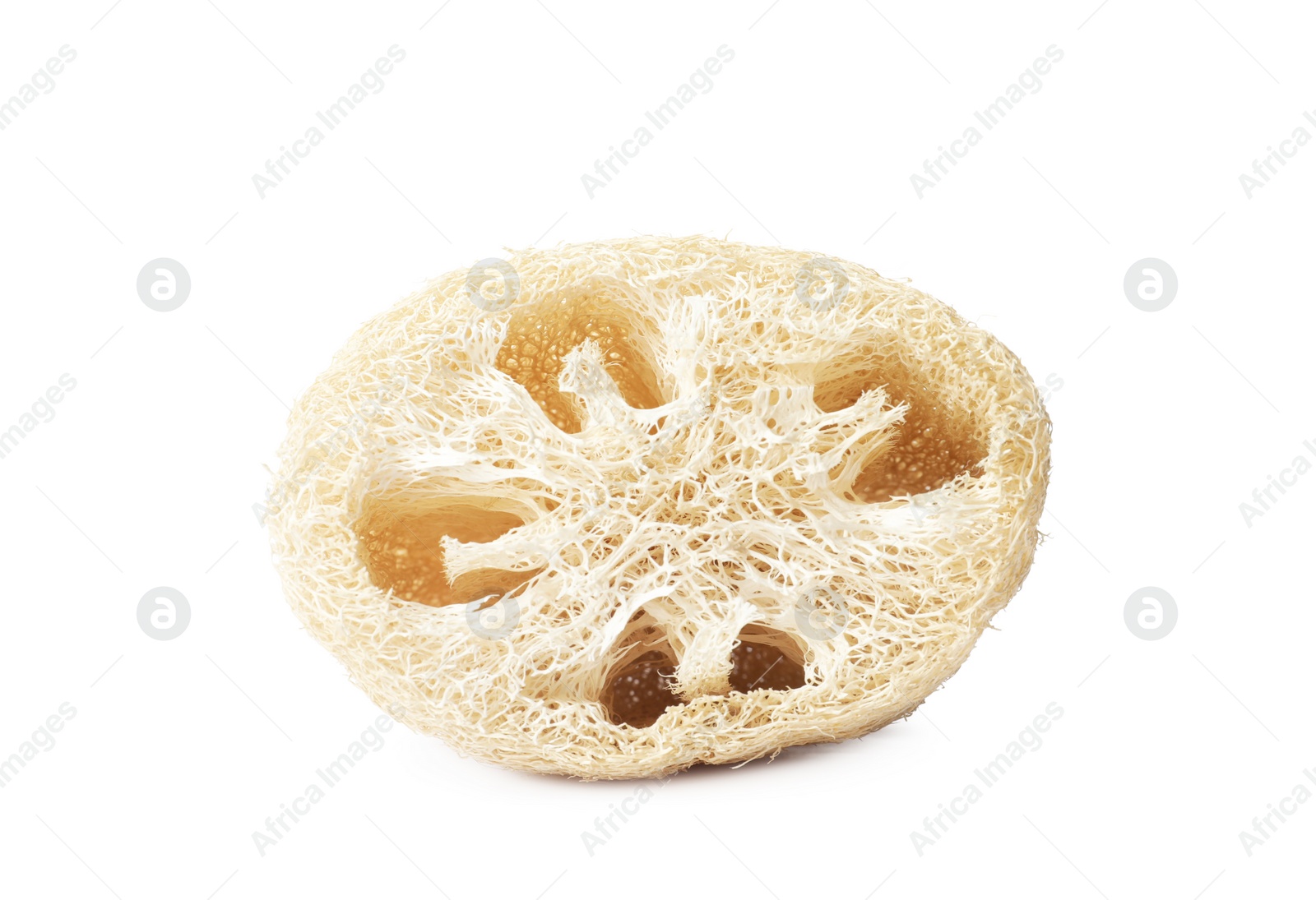 Photo of Natural shower loofah sponge isolated on white