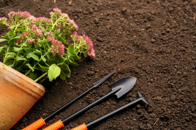 Photo of Gardening tools and flowers on fresh soil. Space for text