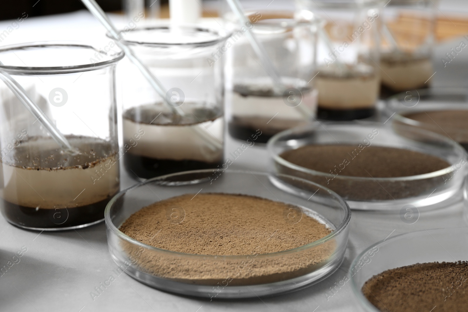 Photo of Glassware with soil samples and extracts on light table. Laboratory research