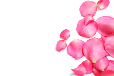 Photo of Fresh pink rose petals on white background, top view