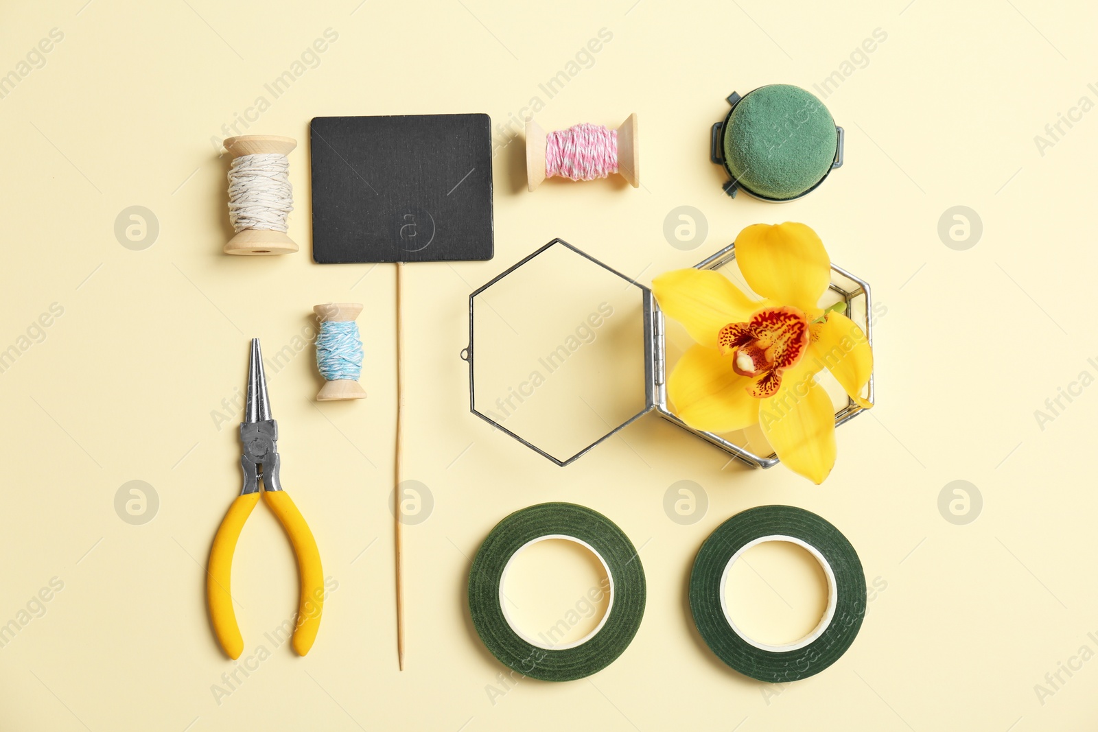 Photo of Florist equipment with flower on color background, top view