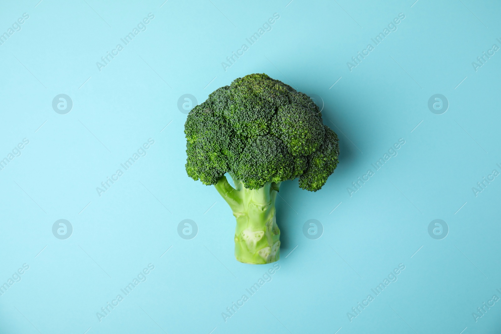 Fresh green broccoli on color background, top view. Organic food Photo of Fresh green broccoli on color background, top view. Organic food