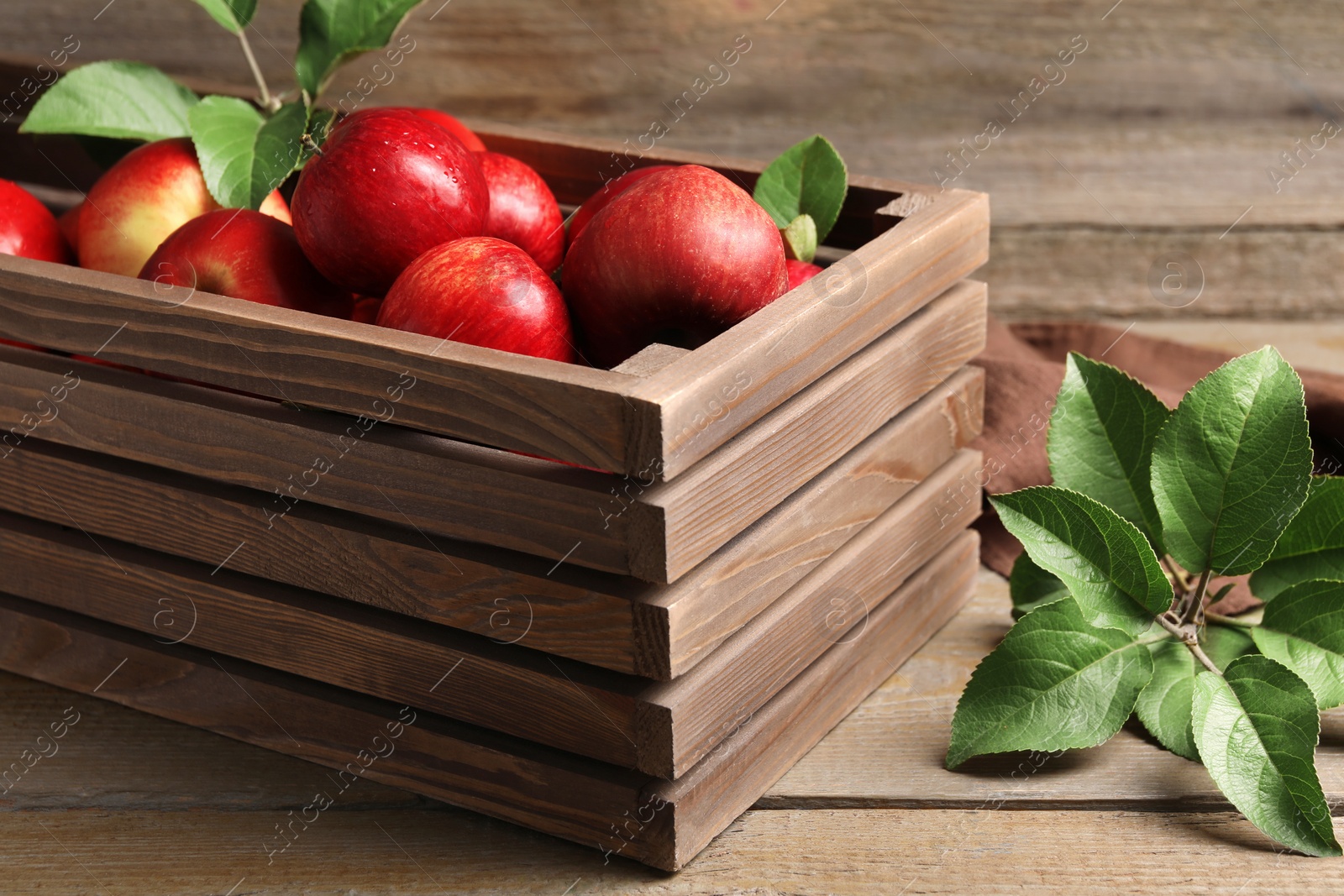 Photo of Ripe red apples with water drops in crate and green leaves on wooden table