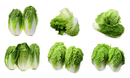 Collage with fresh Chinese cabbages on white background