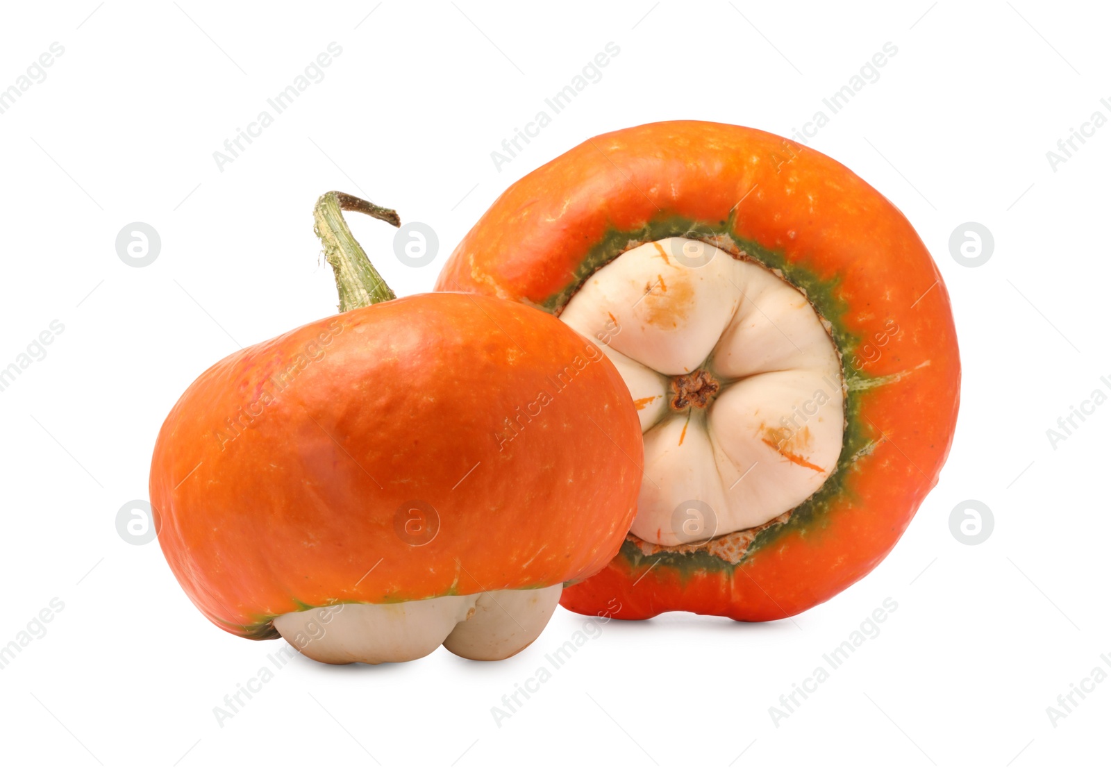 Photo of Two fresh ripe pumpkins isolated on white