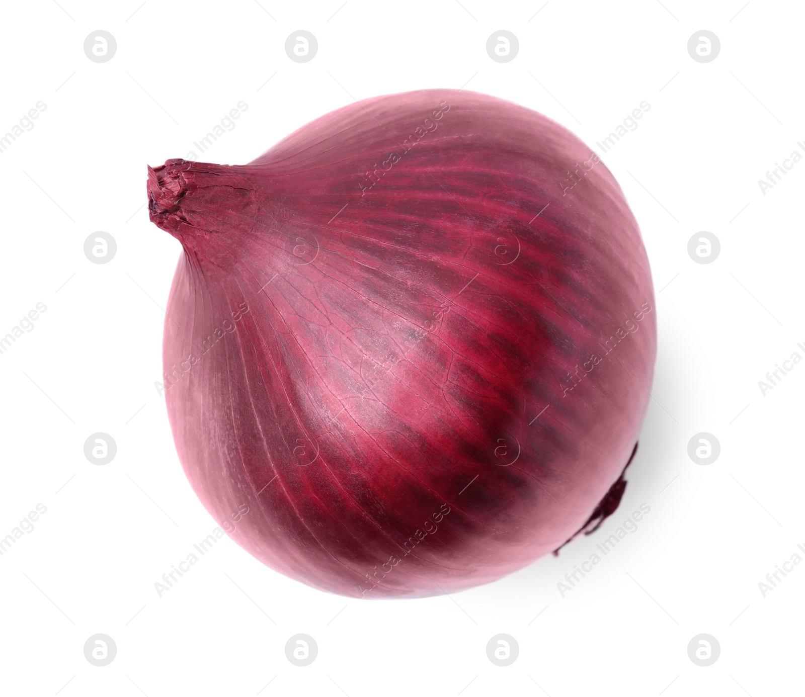 Photo of One fresh red onion on white background, top view